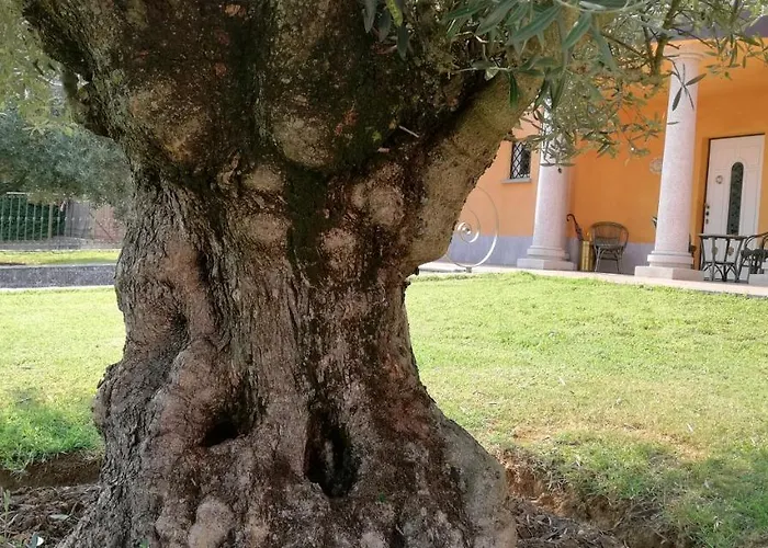One M Oda ve Kahvaltı